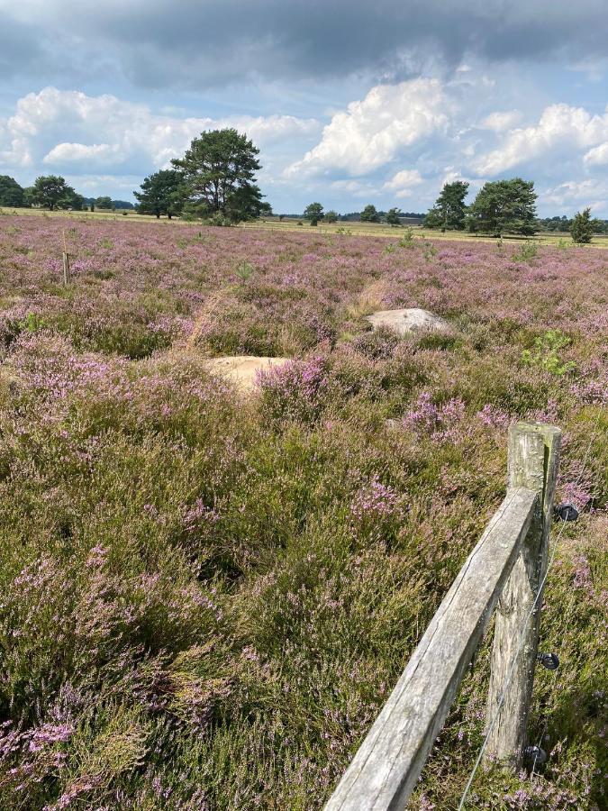 Holiday In Der Lueneburger Heide Bispingen Eksteriør billede