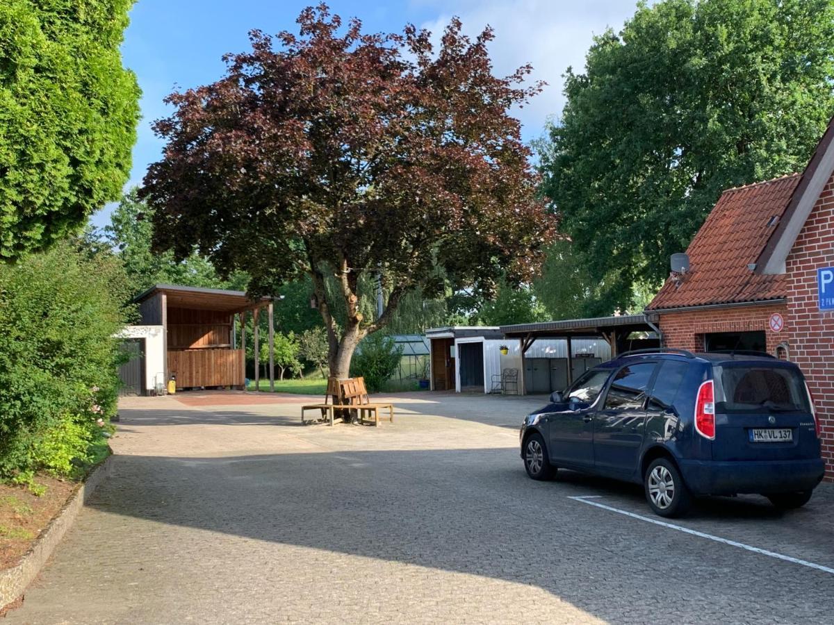 Holiday In Der Lueneburger Heide Bispingen Eksteriør billede
