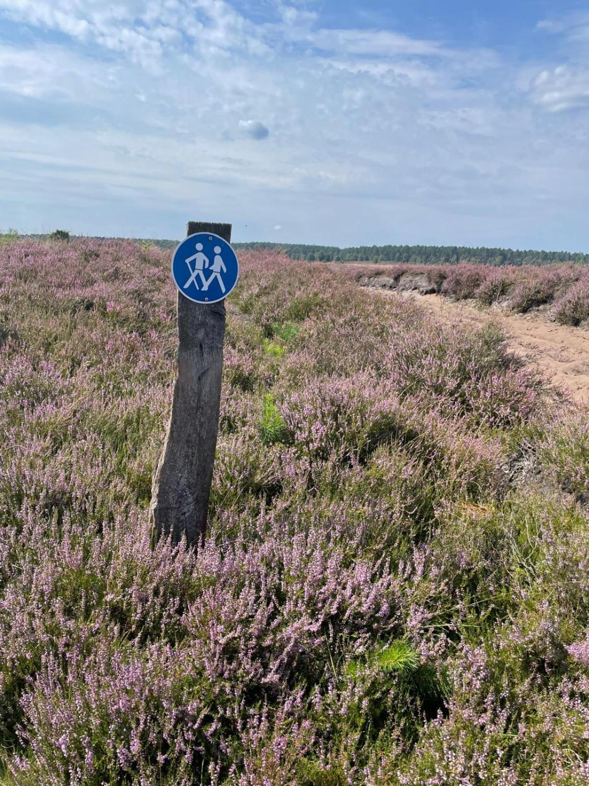 Holiday In Der Lueneburger Heide Bispingen Eksteriør billede